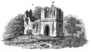 Bewick4